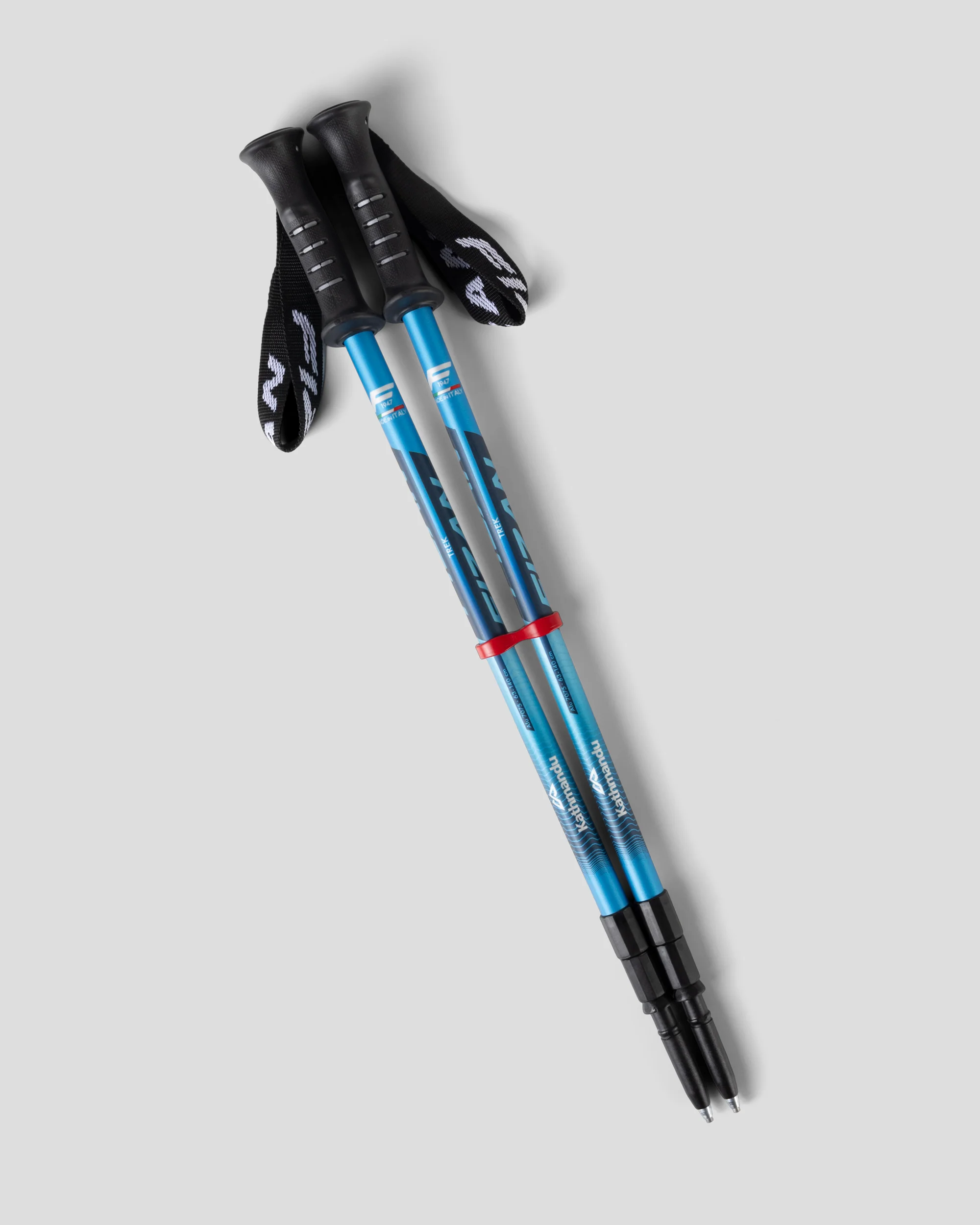 Fizan Trek Pole Pair - India Ink/Light Sea